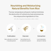 Thank You Farmer Rice Pure Gel and Cream 80ml - Sando Skin