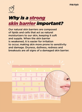 MaNyo - Bifida Biome Ampoule Mask 30 ml - Sando Skin