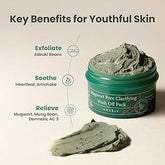 Axis-Y Mugwort Pore Clarifying Wash Off Pack 100 ml - Sando Skin