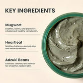 Axis-Y Mugwort Pore Clarifying Wash Off Pack 100 ml - Sando Skin