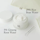 Beauty of Joseon Dynasty Cream 50ml - Sando Skin