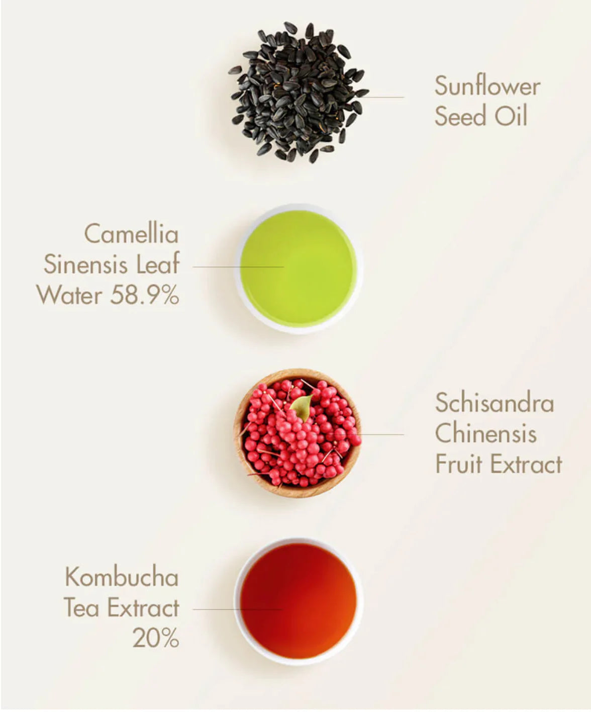 Dr. Ceuracle Vegan Kombucha Tea Essence 150 ml - Sando Skin