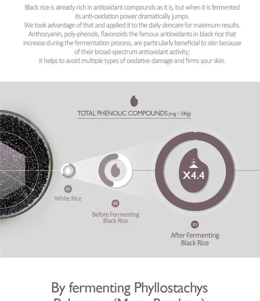 Haruharu Wonder - Black Rice Hyaluronic Toner (Free Of Fragrance & Alcohol) 150 ml - Sando Skin