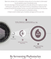 Haruharu Wonder - Black Rice Hyaluronic Toner (Free Of Fragrance & Alcohol) 150 ml - Sando Skin