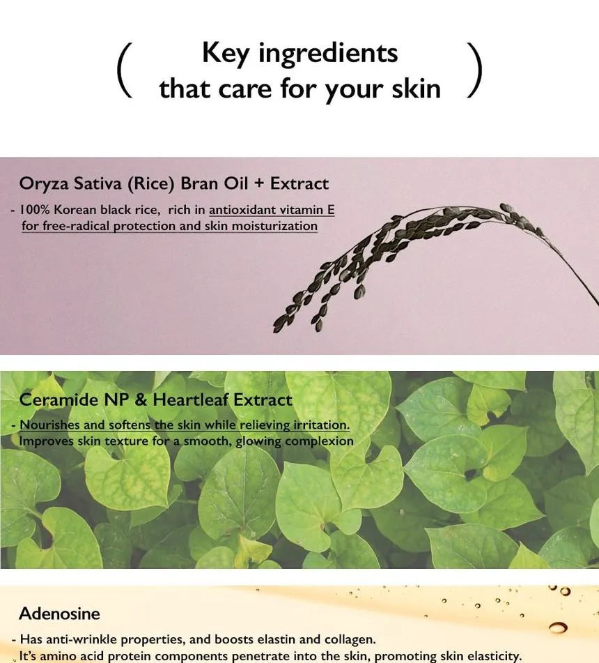 Haruharu Wonder Black Rice Moisture Airyfit Daily Sunscreen Spf50+ Pa++++ 50 ml - Sando Skin