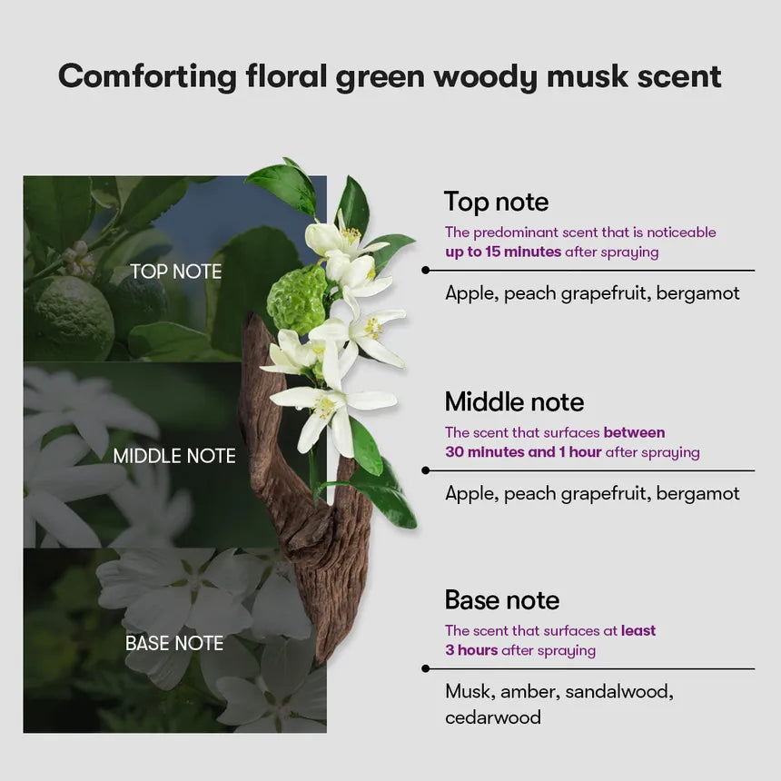 VT Cosmetics Reedle Shot Lifting Serum 50ml - Sando Skin