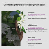 VT Cosmetics Reedle Shot Lifting Serum 50ml - Sando Skin