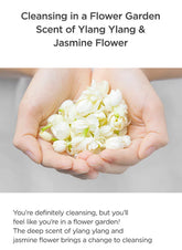 Manyo Pure & Deep Cleansing Foam - Sando Skin