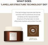 SKIN 1004 - Madagascar Centella Probio-Cica Enrich Cream - Sando Skin