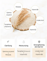 Thank You Farmer Rice Pure Gel and Cream 80ml - Sando Skin