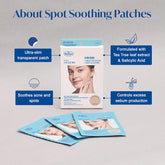 The Face Shop - Dr.Belmeur spot soothing patches - Sando Skin