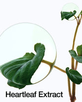 Anua Heartleaf 77% Soothing Toner - Sando Skin