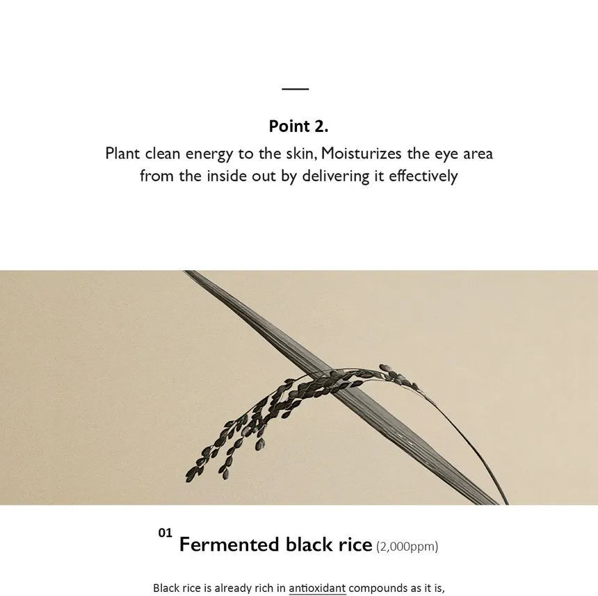 HaruHaru Wonder Black Rice Bakuchiol Eye Cream 20ml - Sando Skin